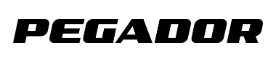 Pegador®