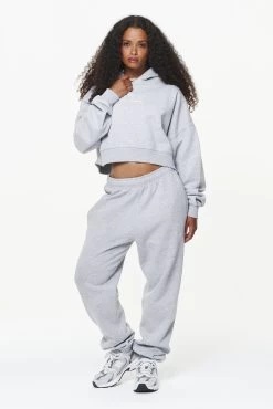 Chancery Oversized Cropped Hoodie Grey Melange -Pegador® PGDR BUILD TO LAST E COMMERCE WMNS10010