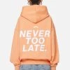 Airville Oversized Zip Hoodie Washed Apricot