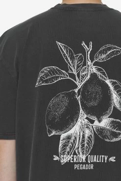 Goret Oversized Tee Vintage Black -Pegador® PGDR Next Wave E COMMERCE MENS DAY 147542 f9b3d456 862d 4a04 99b4 0ca1684920eb