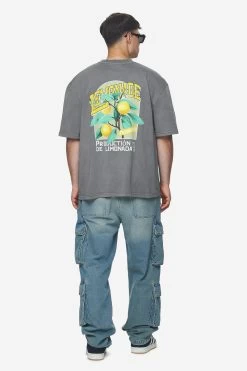 Kort Oversized Tee Vintage Grey -Pegador® PGDR Next Wave E COMMERCE MENS DAY 147615