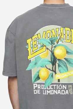Kort Oversized Tee Vintage Grey -Pegador® PGDR Next Wave E COMMERCE MENS DAY 147619