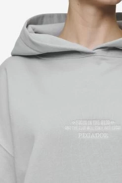 Naia Oversized Hoodie Washed Sky Grey -Pegador® PGDR Next Wave E COMMERCE WMNS DAY 245575