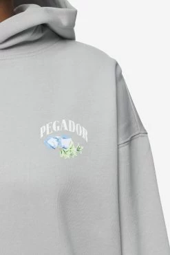 Lucia Oversized Hoodie Washed Sky Grey -Pegador® PGDR Next Wave E COMMERCE WMNS DAY 246162